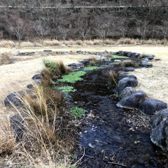 Lake Matsukawa 10