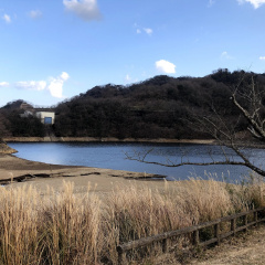 Lake Matsukawa 6