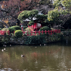 Mishima Taisha 3