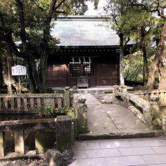 Mishima Taisha 4