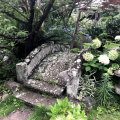 Seiun Temple 2