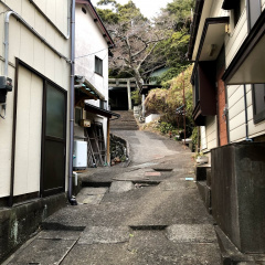 Suwa Shrine 11
