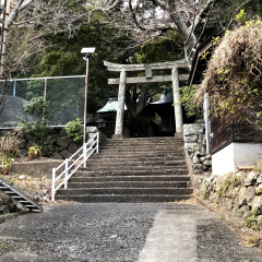 Suwa Shrine 9