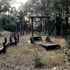 21St Century Forest 12