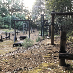 21St Century Forest 13