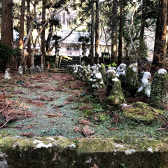 21St Century Forest 16