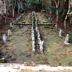 21St Century Forest 17