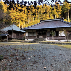 21St Century Forest 18