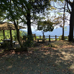 21St Century Forest 5