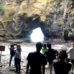 Dragon Cave 4