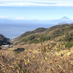Ishibu Rice Terraces 3