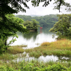 Lake Ippeki