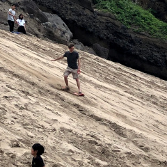 Sand Surfing 8