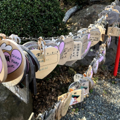 Shimoda Ropeway 15