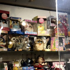 Ayashii Shonen Shojo Hakubutsukan 10