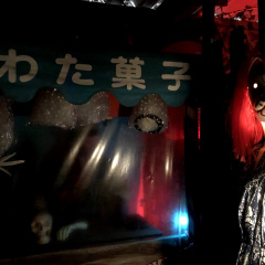 Ayashii Shonen Shojo Hakubutsukan 15