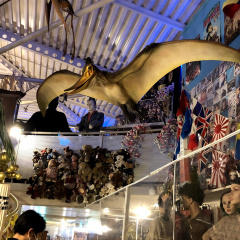 Ayashii Shonen Shojo Hakubutsukan 8