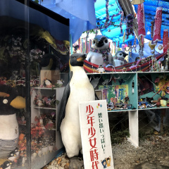 Maboroshi Hakurankai 10