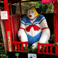 Maboroshi Hakurankai 5
