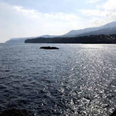 Oyodo-Koyodo 8