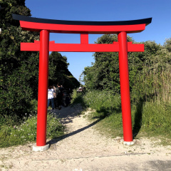 Daimeijiniwa Tori Gate 2