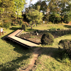 Kashiya Park 20