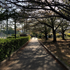 Kashiya Park 4