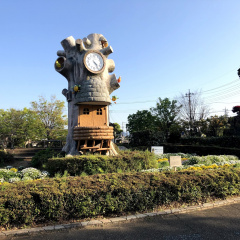 Kashiya Park 7