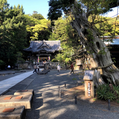 Shirahama Shrine 9