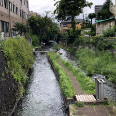 Genbe River 3