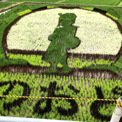 Izu Rice Field Art 3
