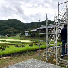 Izu Rice Field Art 4