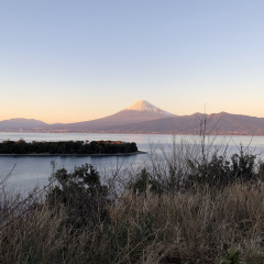 Mt. Fuji View Spot