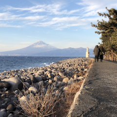 Cape Mihama 4