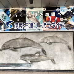 Izu Mito Sea Paradise