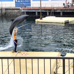 Izu Mito Sea Paradise 28