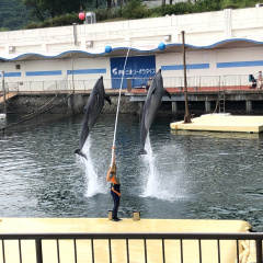 Izu Mito Sea Paradise 33