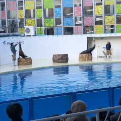 Izu Mito Sea Paradise 43