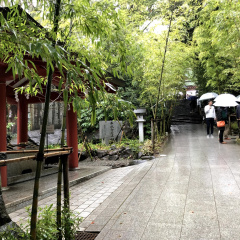 Kinomiya-Jinja Shrine 5