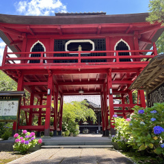 Seiunji Temple 15