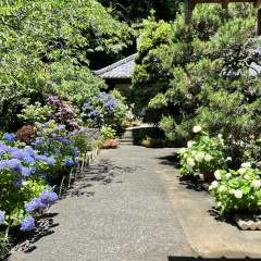 Seiunji Temple 18