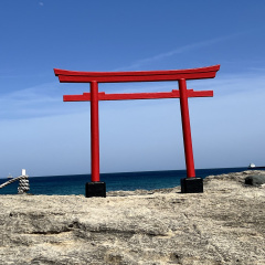 Shirahama Shrine Tori Gate 4